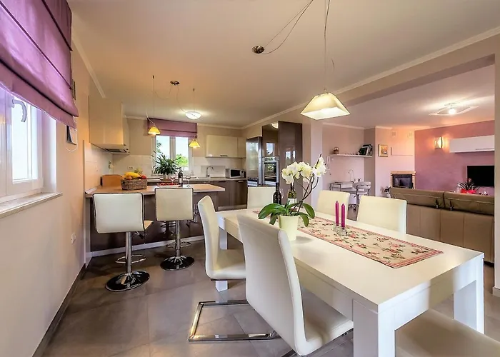Vila Modern Vesna With Private Pool *